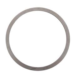 Picture of Winters QC Seal Plate Retaining Ring - (.750")