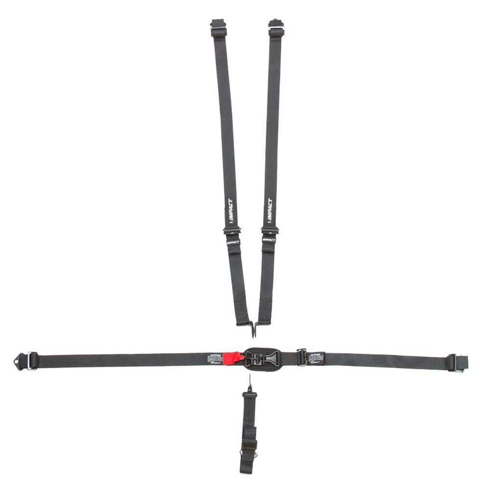 Impact Seat Belt w/ Individual Shoulder and Double Adj. -2"