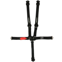 Impact Seat Belt w/ Individual Shoulder and Double Adj. -2"